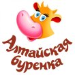 Алтайская буренка