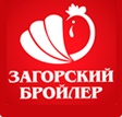 Загорский бройлер