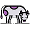 Maintance and milking of cattle